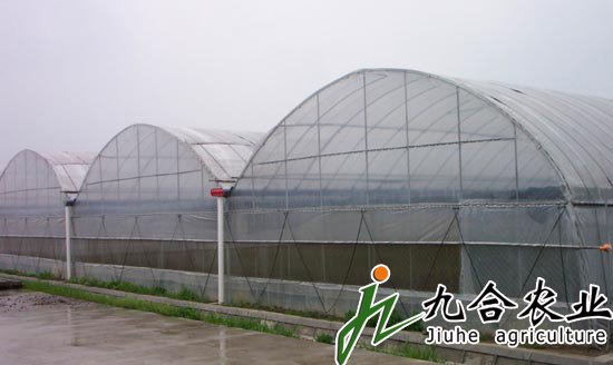 簡易連棟溫室