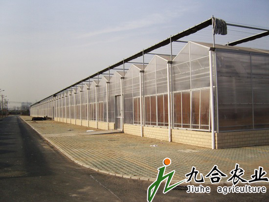陽(yáng)光板連棟溫室