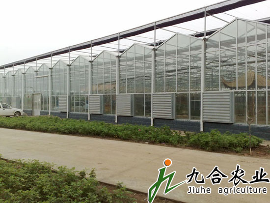 玻璃連棟溫室