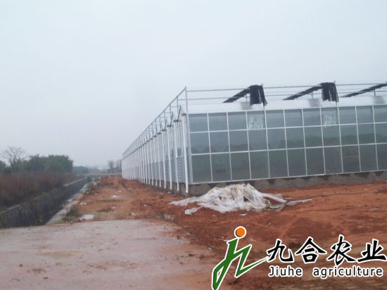 山東淄博古齊生態(tài)園（陽光板智能連棟溫室）