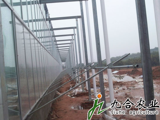 山東淄博古齊生態(tài)園（陽光板智能連棟溫室）