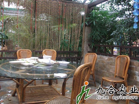 生態(tài)餐廳溫室