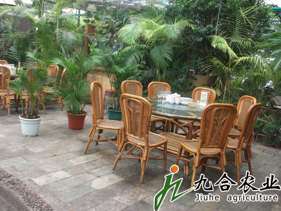 生態(tài)餐廳溫室