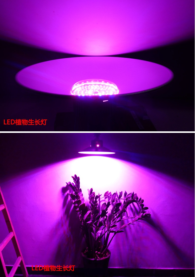 智能溫室Led植物生長(zhǎng)補(bǔ)光燈