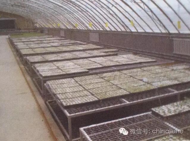 智能溫室育苗棚內(nèi)的暖氣片