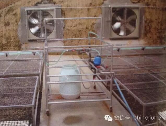 智能溫室內(nèi)的風(fēng)機(jī)
